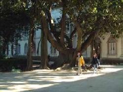 Museu Nacional de Hist�ria Natural: Museu Nacional de Hist�ria Natural - Haga clic para aumentar