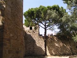 Ch�teau de Saint Georges: Castelo de S�o Jorge - Cliquetez pour agrandir