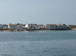 Ilha da Culatra: Ilha da Culatra - Clique para ampliar