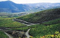 Museu de Ervamoira: Quinta da Ervideira - Cliquetez pour agrandir