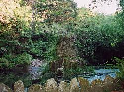 Gardens of Pena: Pena Park - Click to enlarge