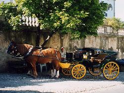 Charretes: Charretes - Clique para ampliar