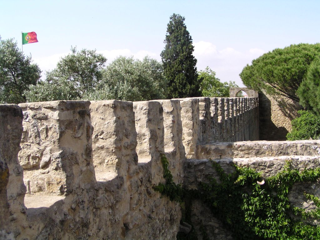 Castelo de S�o Jorge: Foto