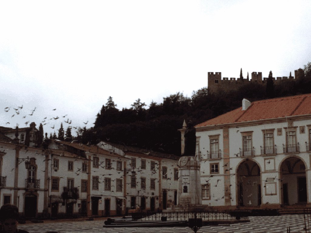 Cmara Municipal e castelo: Foto