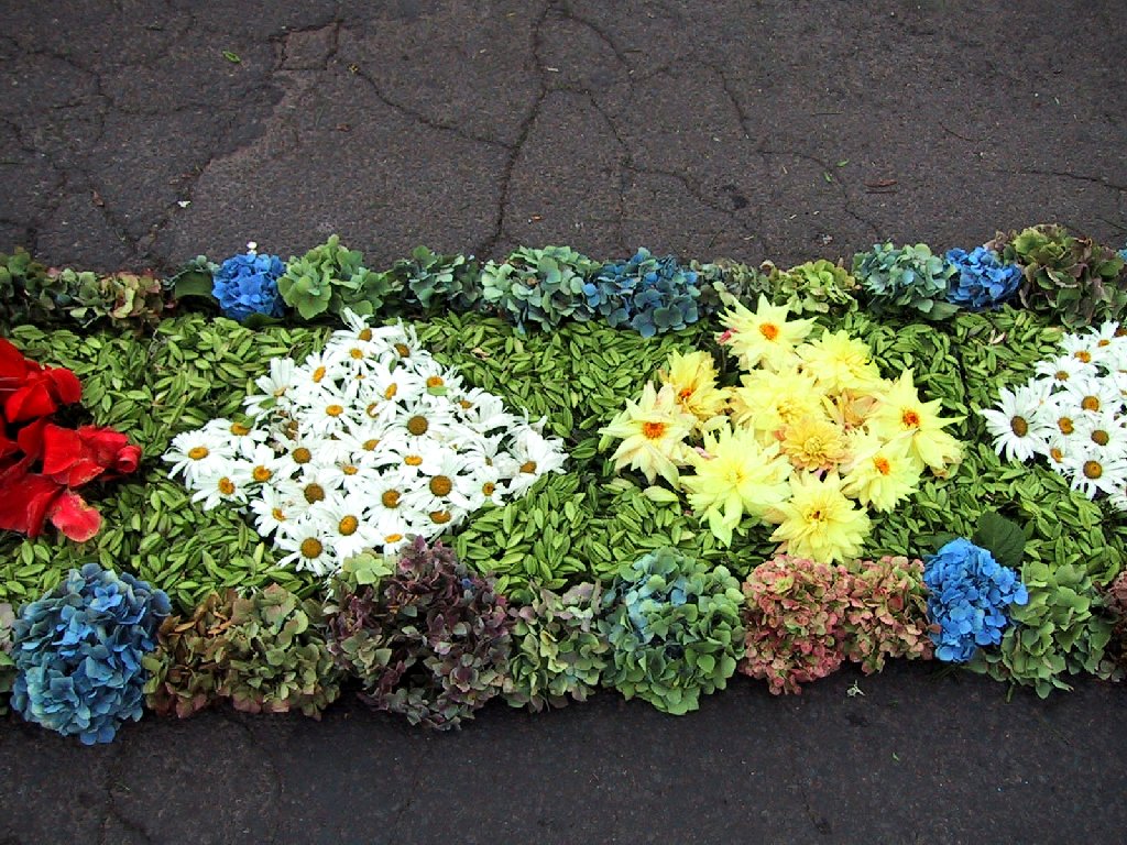 Camacha: Flower carpet