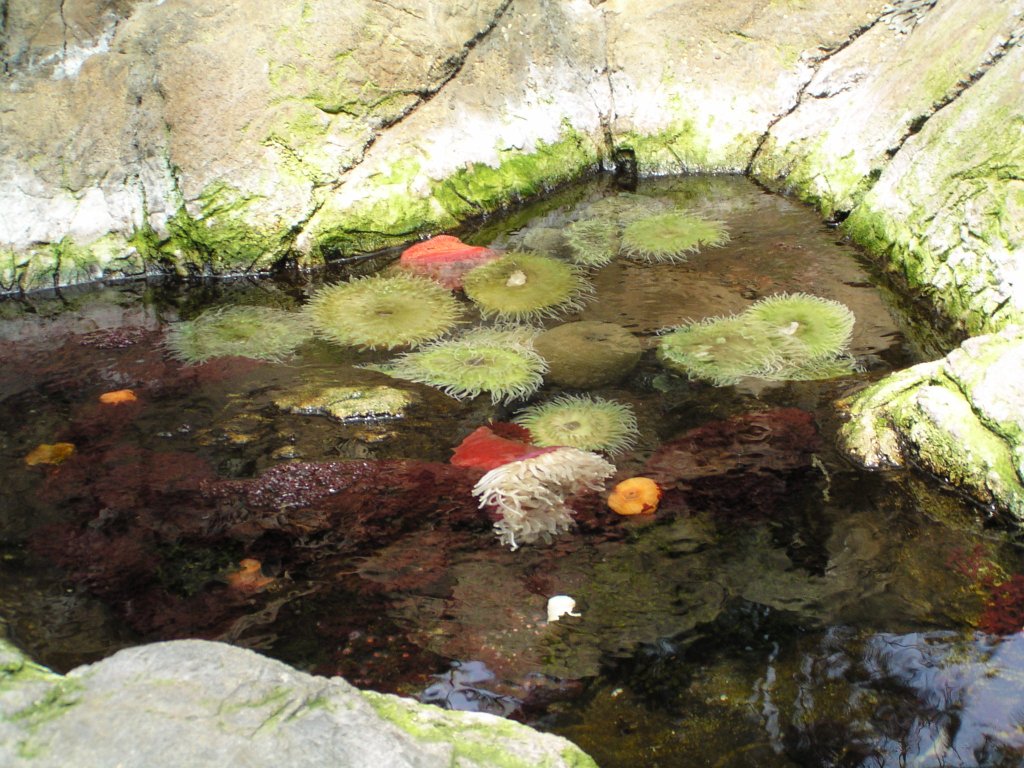 Ocean�rio de Lisboa