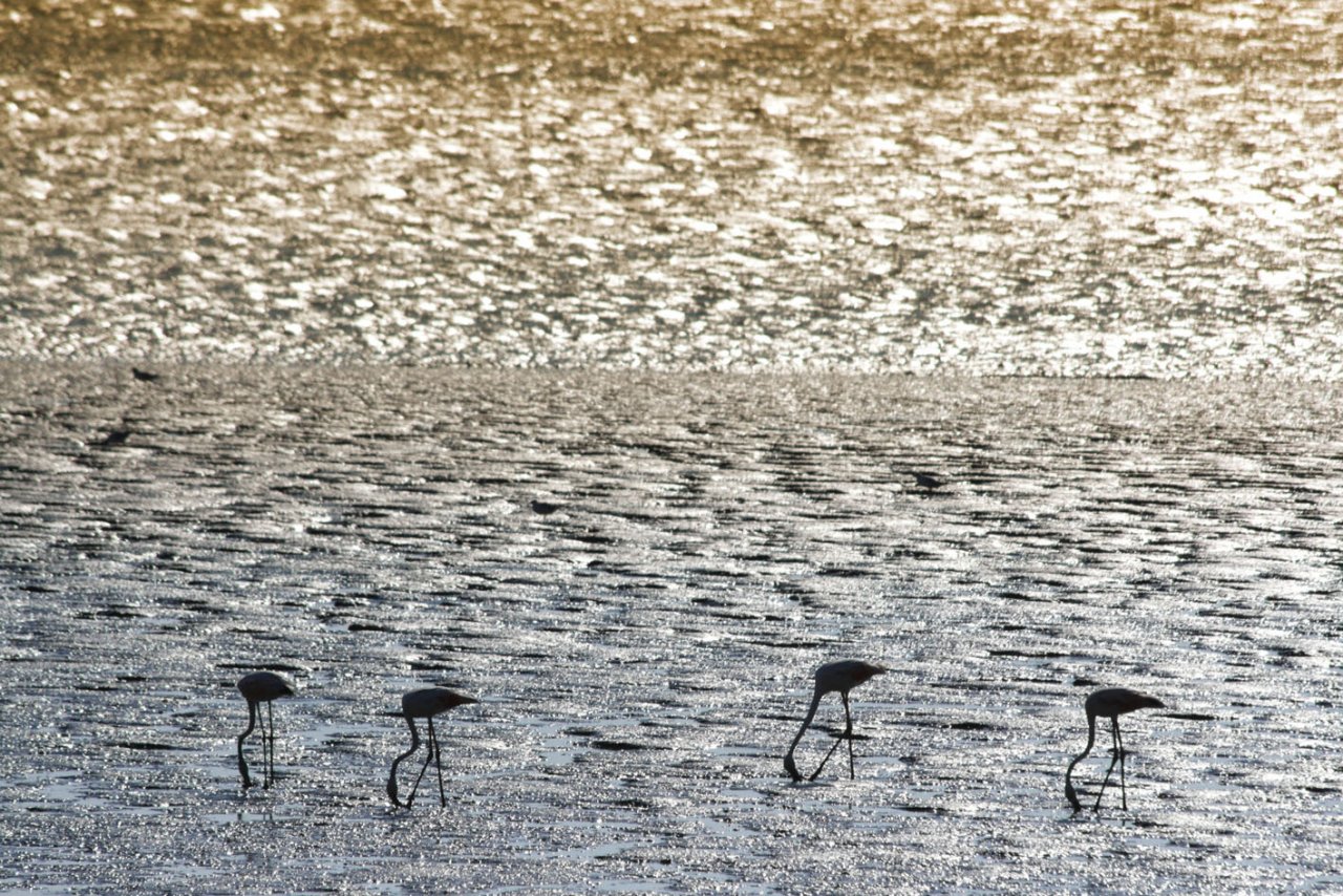 Parque das Na��es
