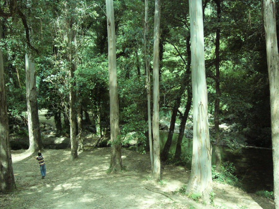 Fragas de S�o Sim�o: Foto