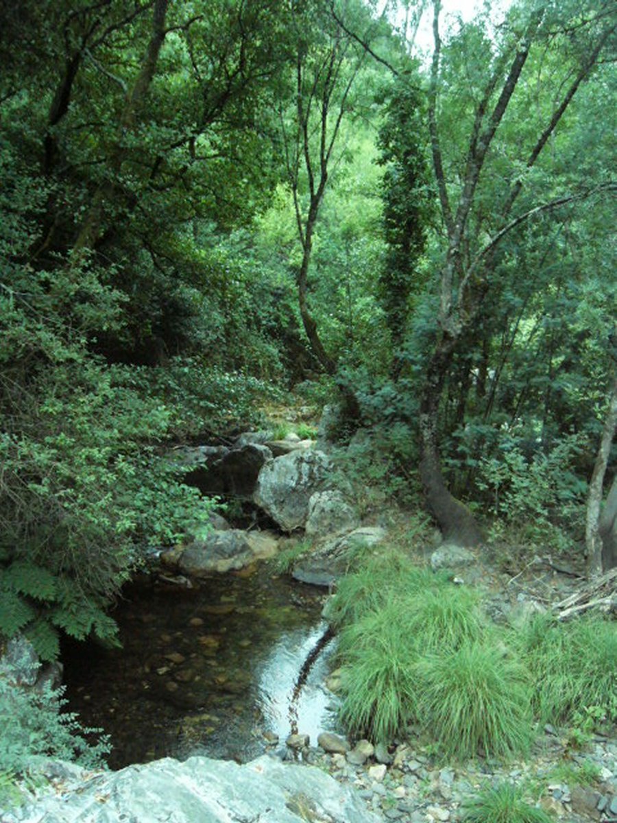 Fragas de S�o Sim�o