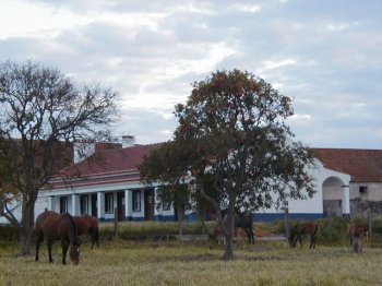 Casa do Ma�apez: Photo