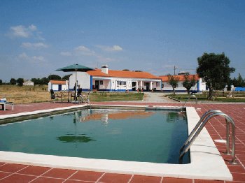 Monte Pura Vida: Photo